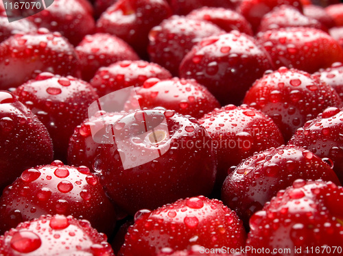Image of Cherry.