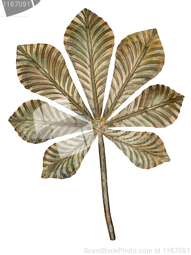Image of Bronze chestnut leaf. 