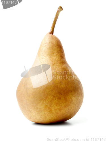 Image of Pear.