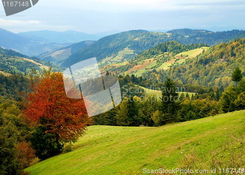 Image of Ukrainian landscape.