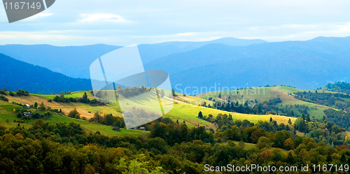 Image of Ukrainian landscape.