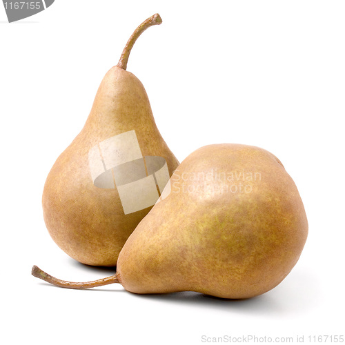 Image of Pears.