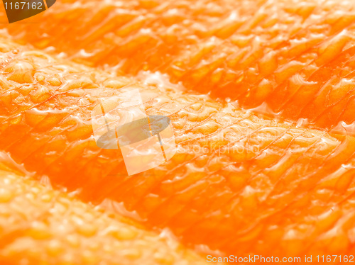 Image of Wet yellow leaf.