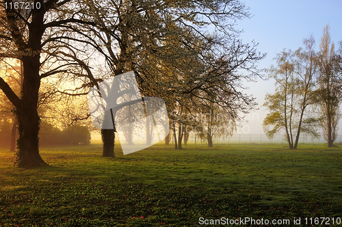 Image of Spring sunrise