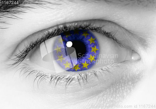 Image of european eye