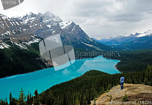 Image of Peyto lake at spring