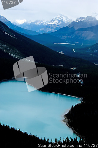 Image of Peyto lake