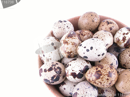 Image of bowl of quail eggs