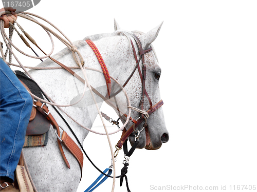 Image of Cowboy's Pony