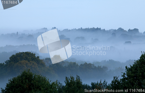 Image of Morning Mist