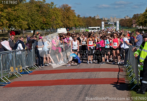 Image of Runners waiting to start Windsor run