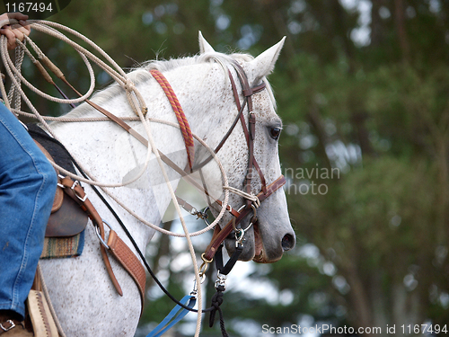 Image of Cowboy's Pony