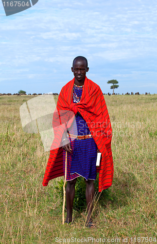 Image of Masai Guide on the Aitong Plains, Masai Mara
