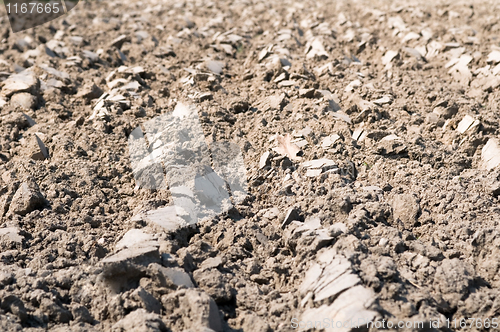 Image of Cultivated Field Background