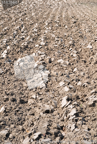 Image of Cultivated Field Background
