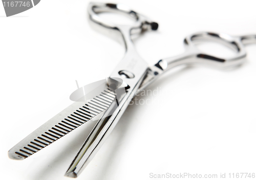 Image of Professional Haircutting Scissors. Studio isolation on white. 