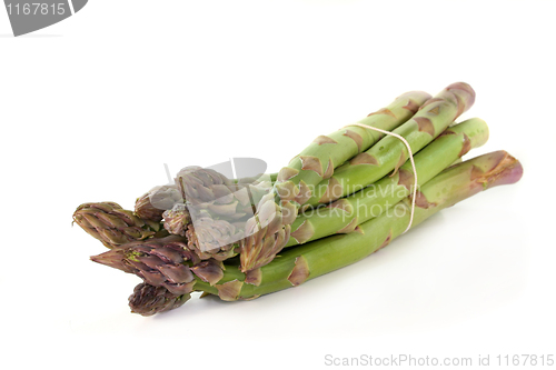 Image of Green Asparagus