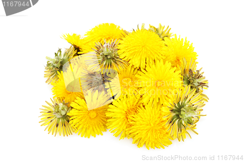 Image of herbal medicine