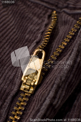 Image of golden zipper detail