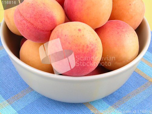 Image of apricots