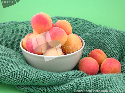 Image of apricots