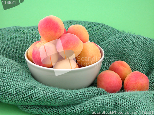 Image of apricots