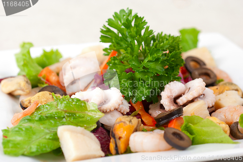 Image of Seafood salad