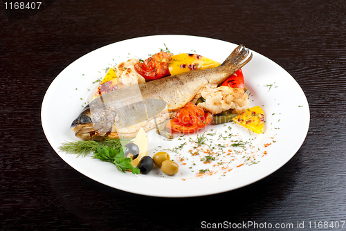 Image of trout fish