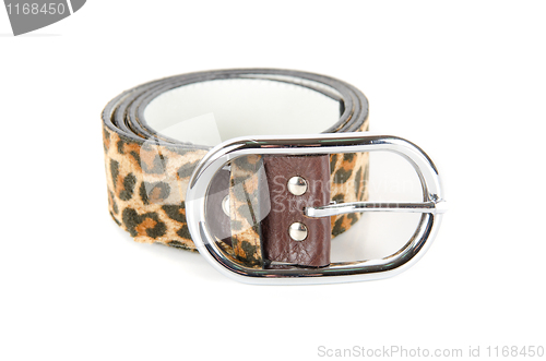 Image of leopard belt