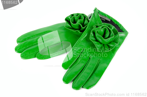 Image of green female leather gloves