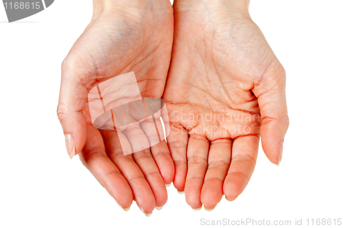 Image of two female hands