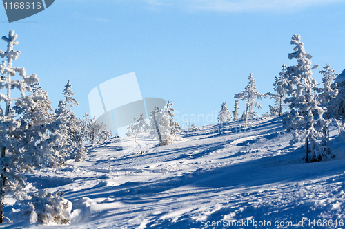 Image of winter landscape