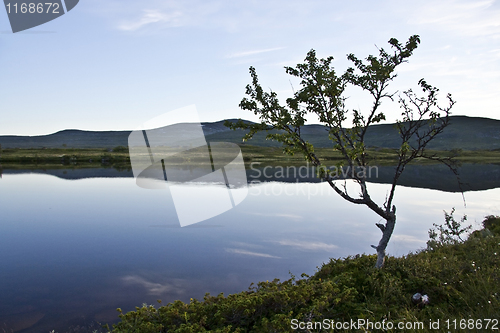 Image of Calm lake