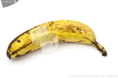 Image of Banana 