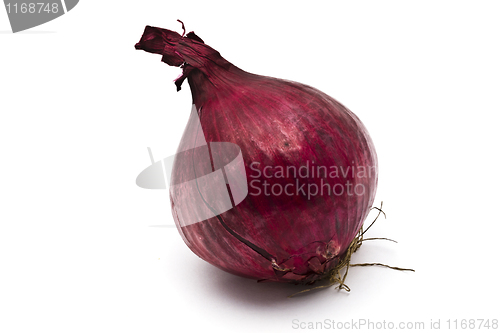 Image of Red onion 