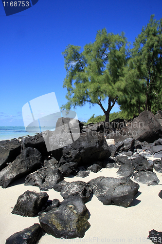 Image of Mauritius landscape