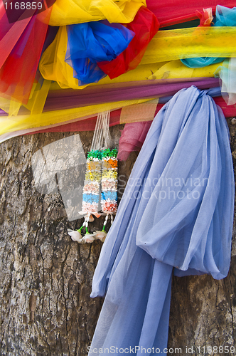 Image of Bodhi tree