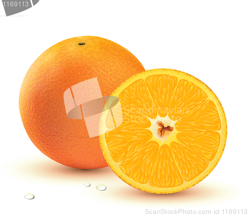 Image of Fresh juicy oranges 