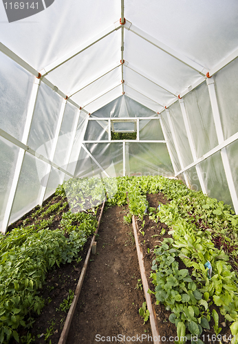 Image of Greenhouse