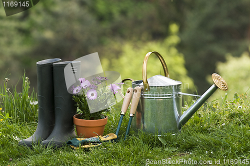 Image of Gardening