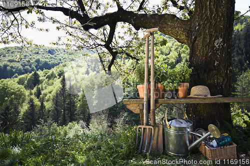 Image of Gardening