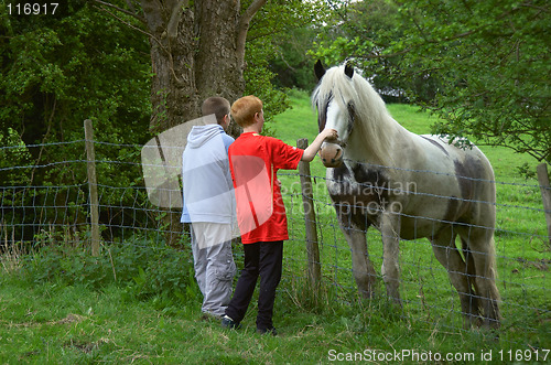 Image of Seeing the Horse