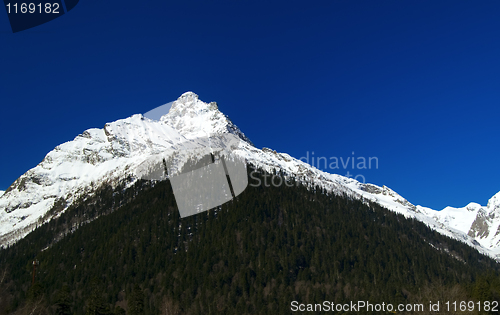 Image of Caucasus Mountains. Belalakaya.