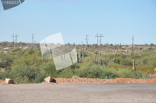 Image of Desert in Arizona