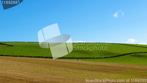 Image of Cardross hill