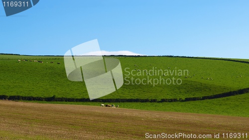 Image of Cardross hill