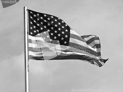 Image of USA flag