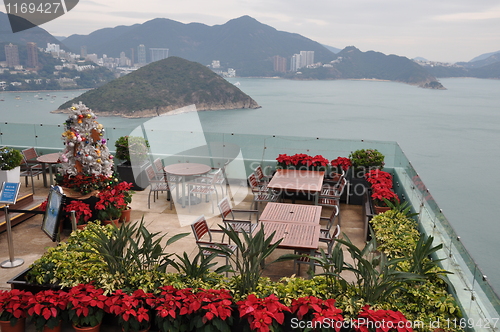 Image of Ocean Park in Hong Kong