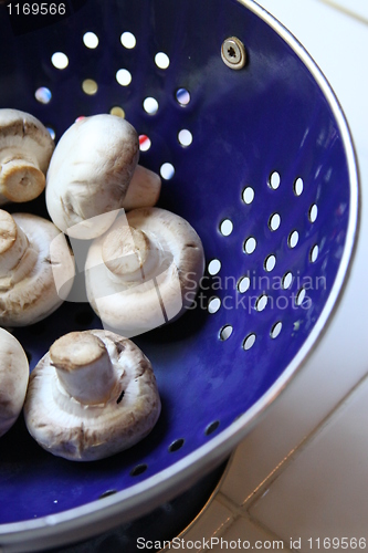 Image of Mushrooms on a Plate