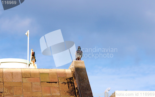 Image of Top off the roof